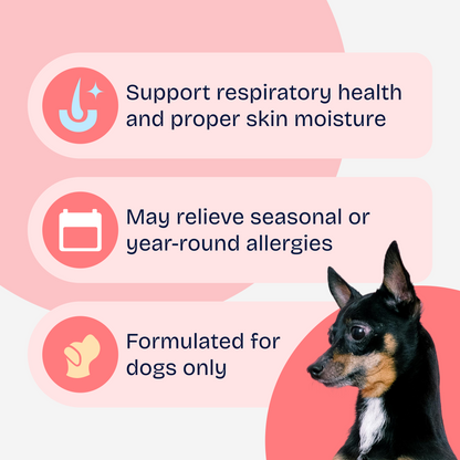 Allergy Aid Soft Chews